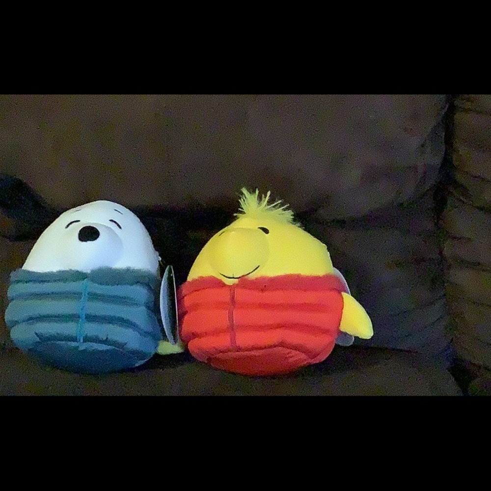 BRAND NEW Peanuts, Snoopy and Woodstock Squishmallows!
